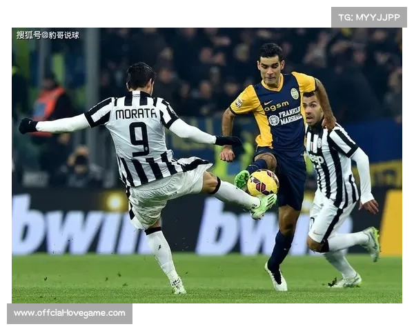 维罗纳困境加剧,主场连败难逃降级威胁 维罗纳困境加剧,主场连败难逃降级威胁