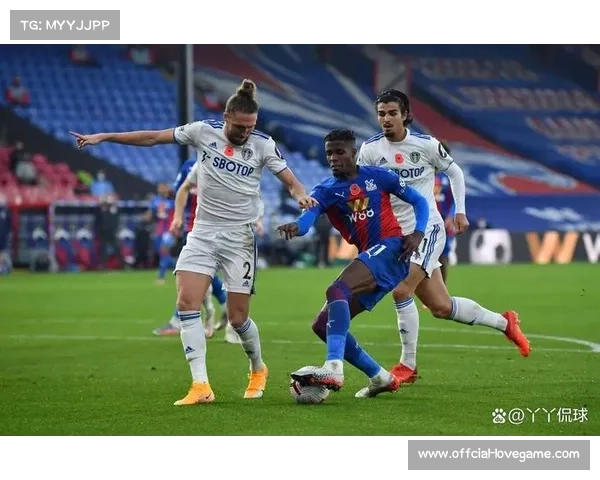 英超第30轮：水晶宫vs利兹联3月14日举行